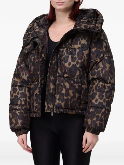 Save The Duck Leopard-print Puffer Jacket In Brown