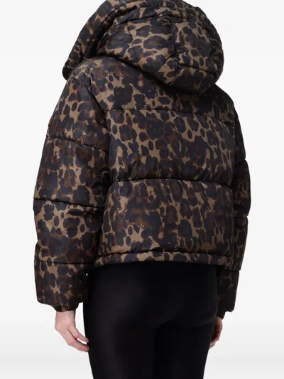 Save The Duck Leopard-print Puffer Jacket In Brown