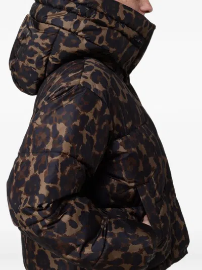 Save The Duck Leopard-print Puffer Jacket In Brown