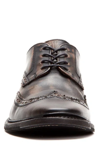 Frye Paul Wingtip Derby In Brown