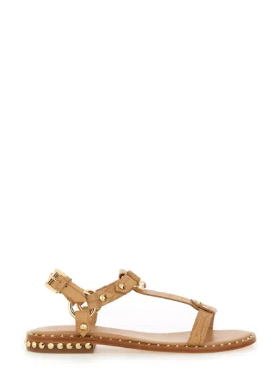 Ash Patsy Bis Croc Printed Embellished Flat Sandal In Multi
