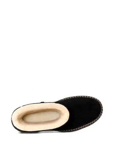 Ugg Uptowner Calf Suede Ankle Boots In Multi
