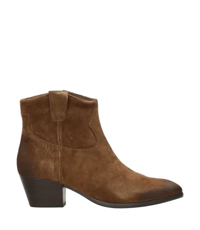 Ash Fame Suede Ankle Boots In Brown