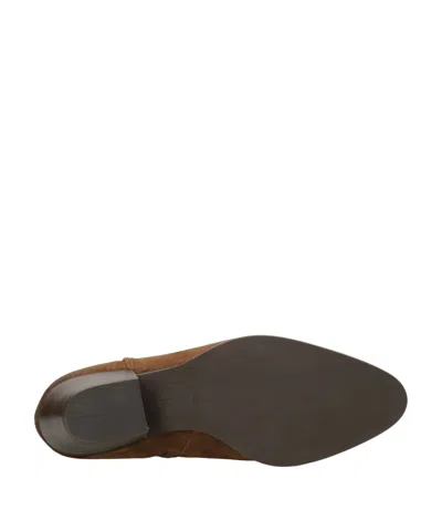 Ash Fame Suede Ankle Boots In Brown