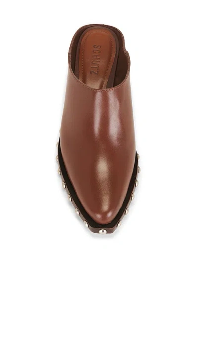Schutz Taylor Mule Pump In Multi