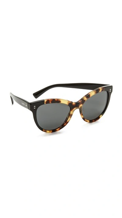 Valentino Rockstud Rivets Sunglasses In Cubed Havana/gray