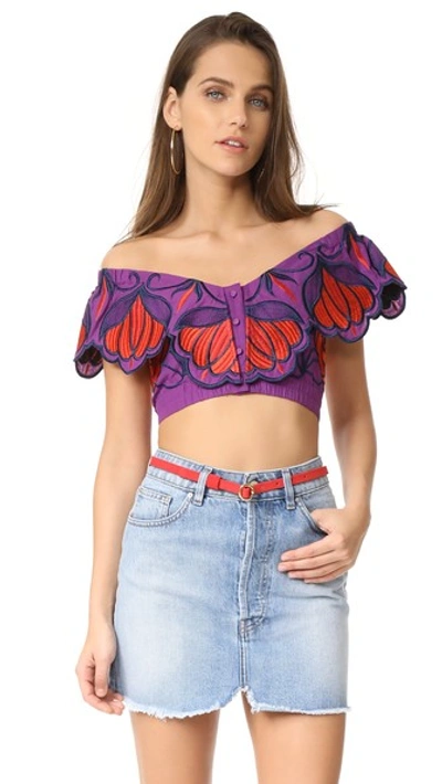 Alice Mccall Let Your Love Flow Cropped Top In Violet Floral