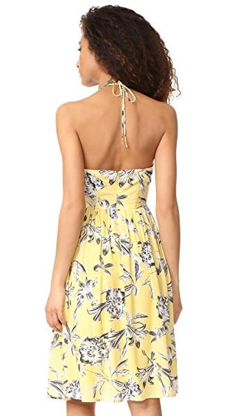 bb dakota scattered daisy dress