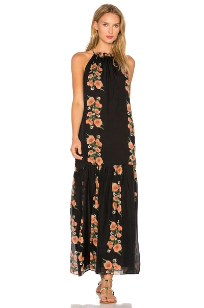 Carolina K Lucia Dress In Black