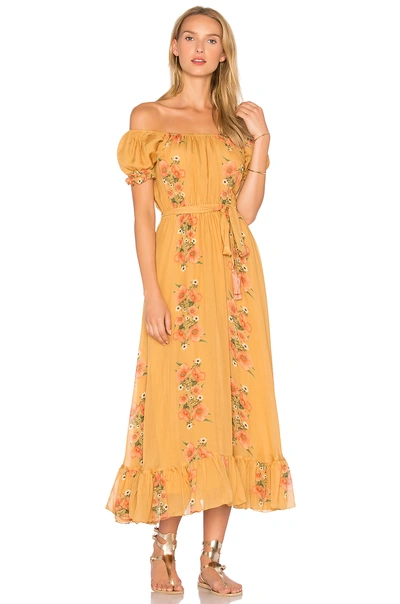 Carolina K Alexa Dress In Spring Flowers Gold