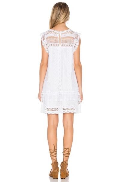Shop Bb Dakota Milo Dress In White