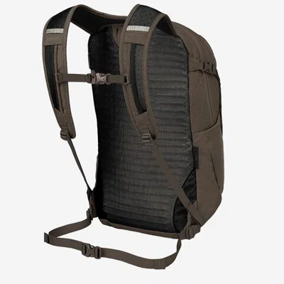 Osprey Daylite Plus Driftshade Backpack In Black