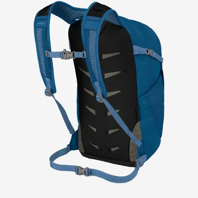 Osprey Daylite Plus Backpack In Blue