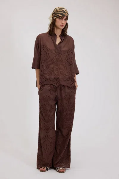 Ermanno Brown In Brown