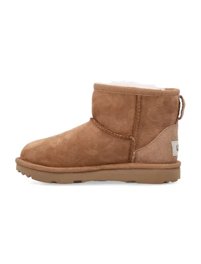 Ugg Boots In Brown