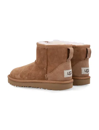 Ugg Boots In Brown