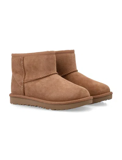 Ugg Boots In Brown