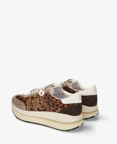 Premiata Bethcoin In Multi