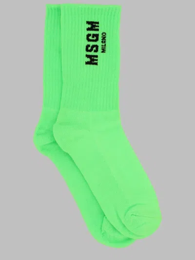 Msgm Socks In Green