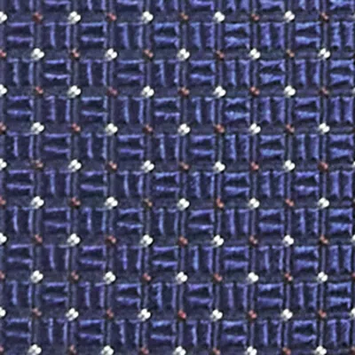 Corneliani Silk Jacquard Tie In Navy