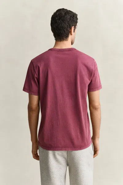 Gant Graphic T-shirt In Deep Grape Wine