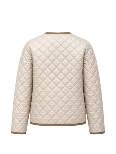 Max Mara Quilted Padded Jacket In Multi