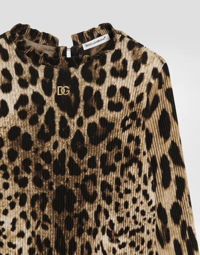 Dolce & Gabbana Leopard-pattern Top In Multi