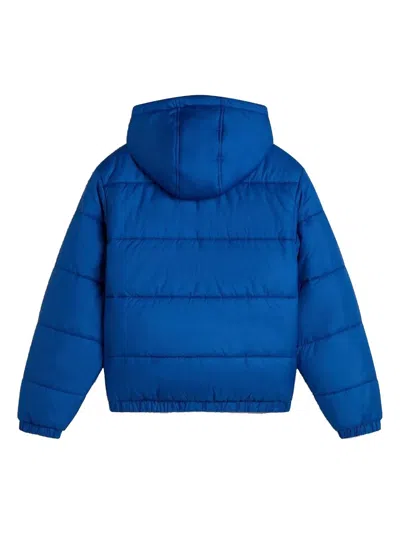 Vans Quilted Polyester Puffer Jacket In Blue
