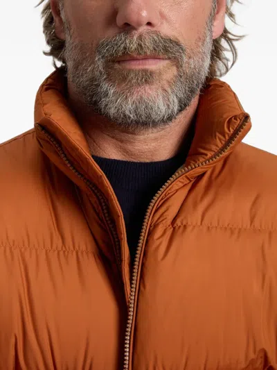 Woolrich Cloud Eagle Jacket In Orange