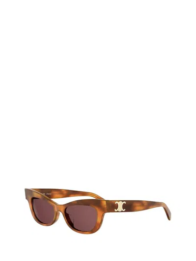 Celine Full Frame Sunglasses In Multi