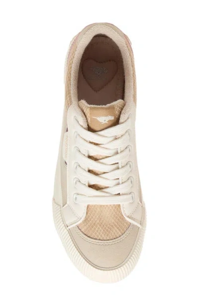 Rocket Dog Cheeryblocked Platform Sneaker In Multi