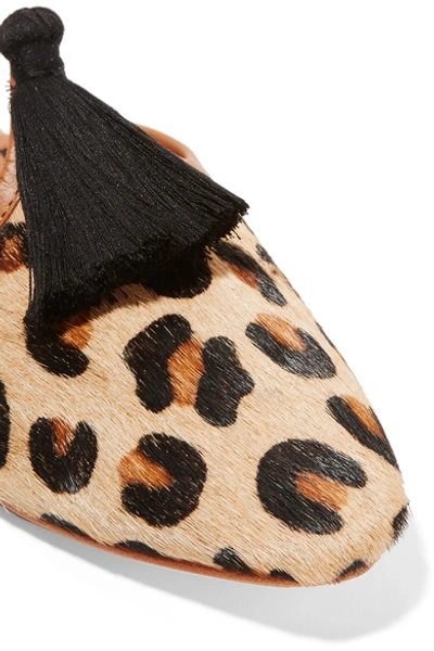 Shop Figue Audrey Leather-trimmed Leopard-print Calf Hair Slippers