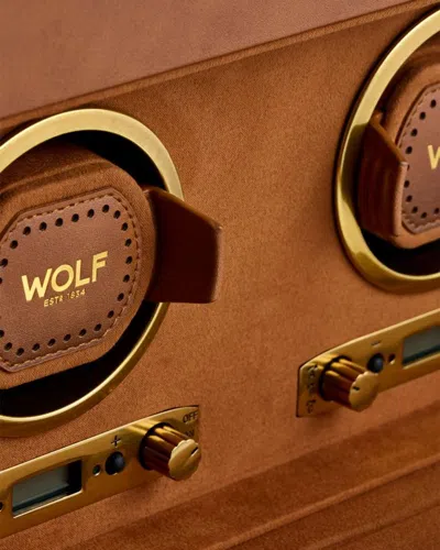 Wolf Brogue Double Watch Winder With Storage In Brown