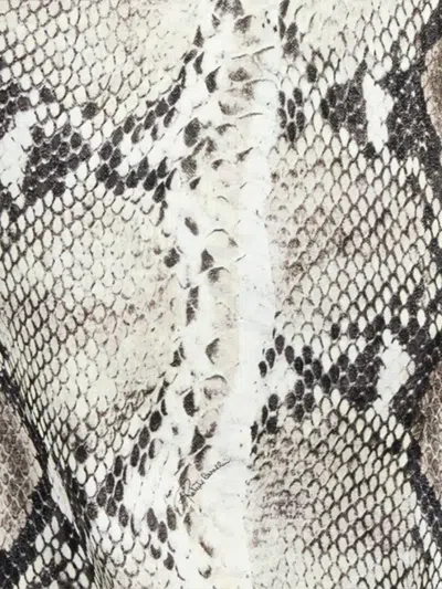 Roberto Cavalli Python-print Jacket In Neutral