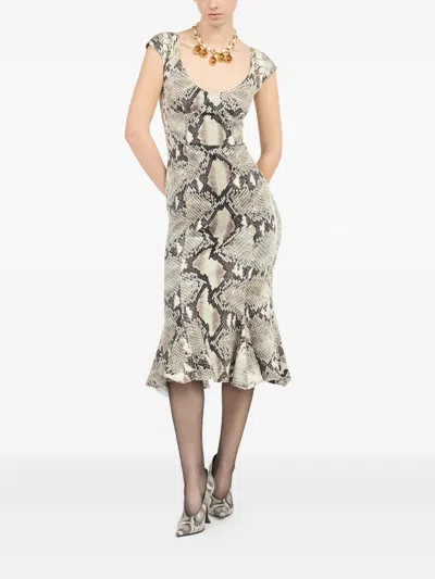 Roberto Cavalli Python-print Midi Dress In Neutral