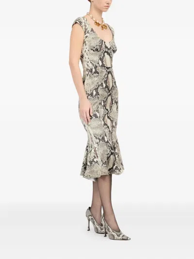 Roberto Cavalli Python-print Midi Dress In Neutral