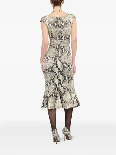 Roberto Cavalli Python-print Midi Dress In Neutral