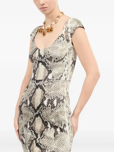 Roberto Cavalli Python-print Midi Dress In Neutral