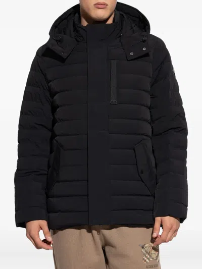 Moose Knuckles Greystone Down Jacket In Black