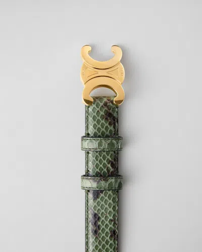 Celine Triomphe Belt 25 In Python In Green