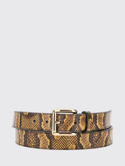 Amiri Python Square Belt With Leather Details And Reptile Print In Brown