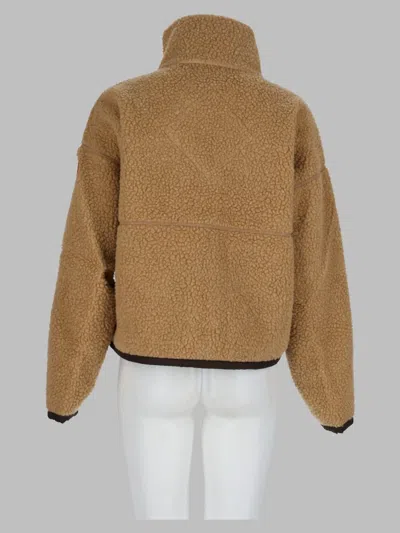 Canada Goose In Brown