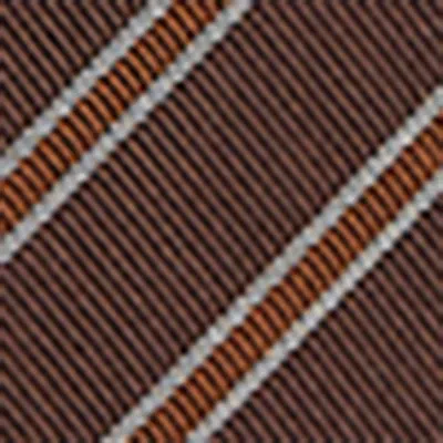 Givenchy Silk Tie In Brown