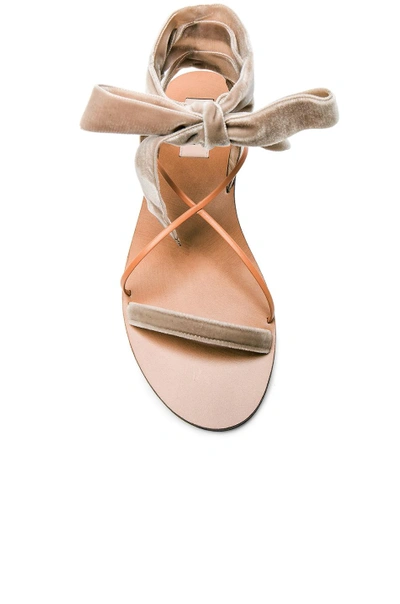 Shop Valentino Flat Velour Ankle Tie Sandals In Neutrals. In Soft Noisette & Natural