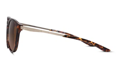 Smith Optics Smith Wander Tortoise In Brown