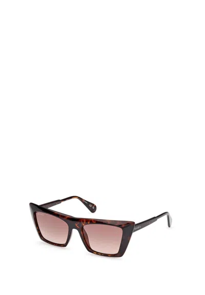 Maxco. Full Frame Sunglasses In Brown
