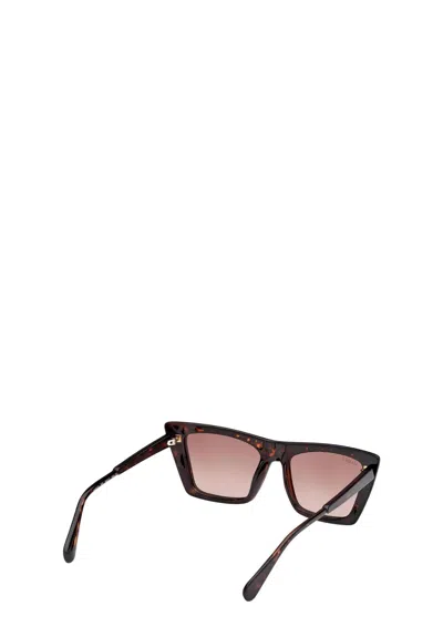 Maxco. Full Frame Sunglasses In Brown