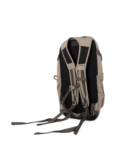 Osprey Daylite™ Plus Backpack (20l) In Brown