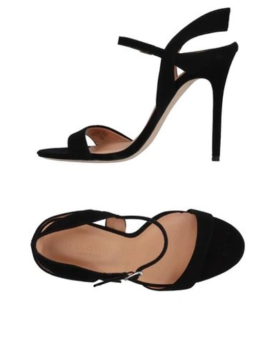 Shop Halston Heritage Sandals In Black