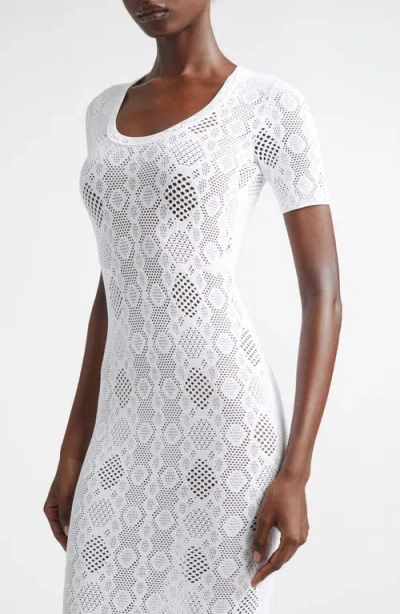 Alaïa Python Lace Knit Midi Dress In White